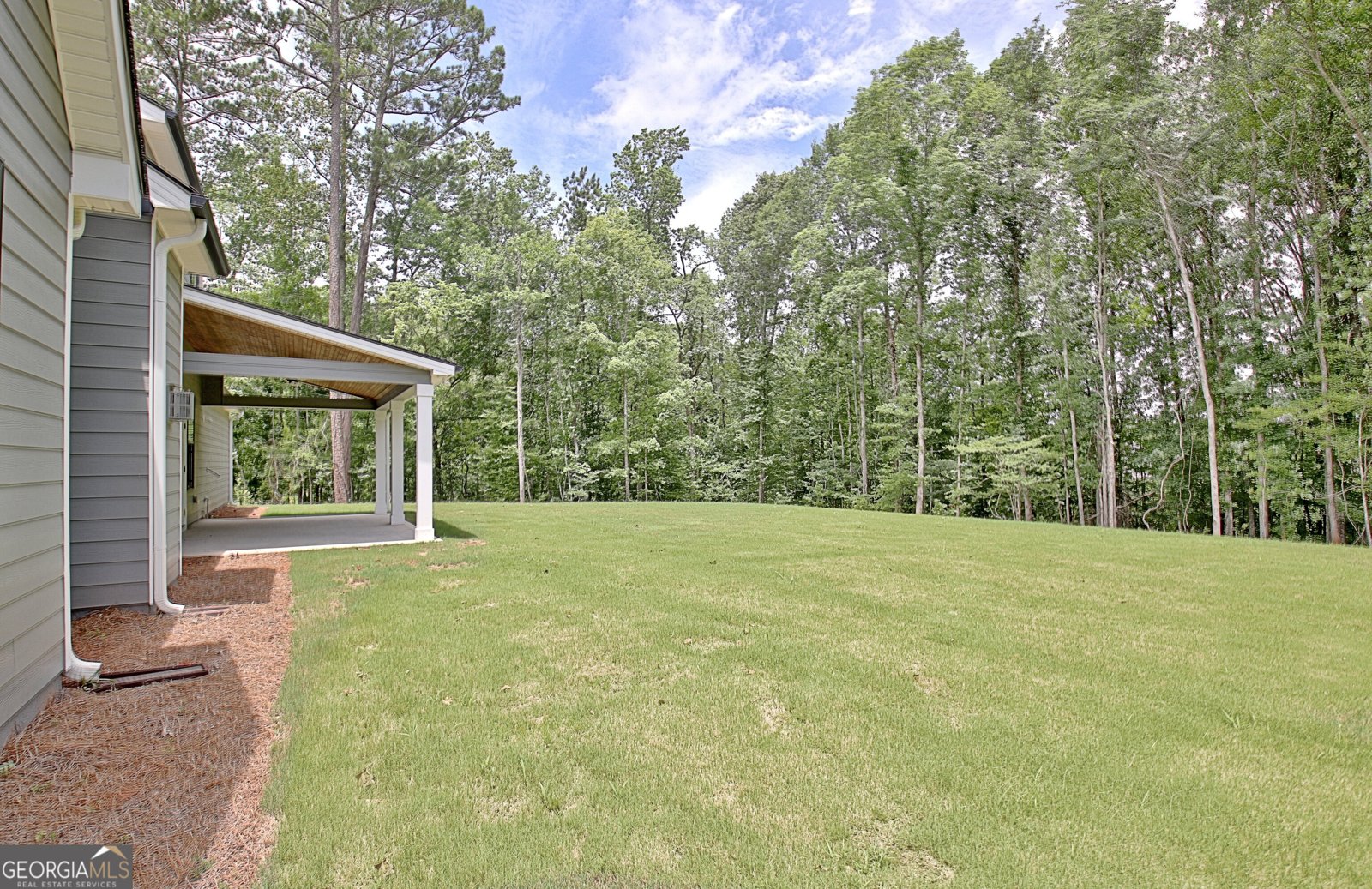 157 Ryeland Drive Senoia - Photo 79
