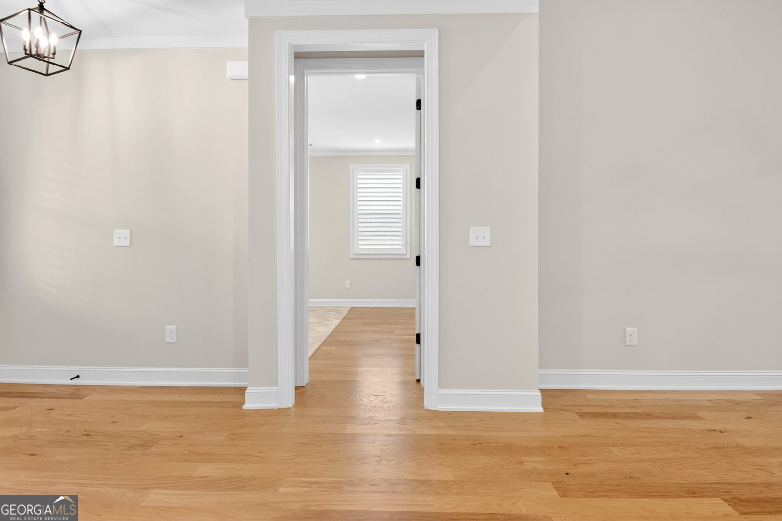 375 Werner Way Senoia - Photo 65