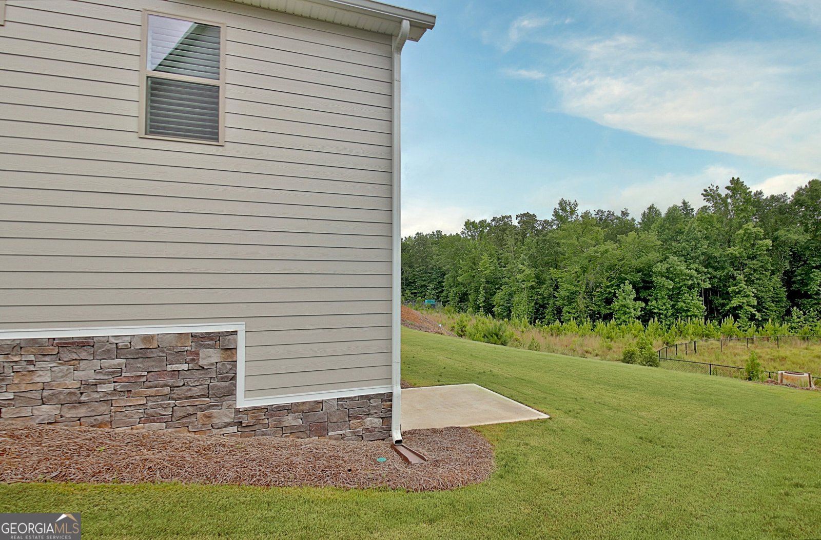 375 Werner Way Senoia - Photo 99