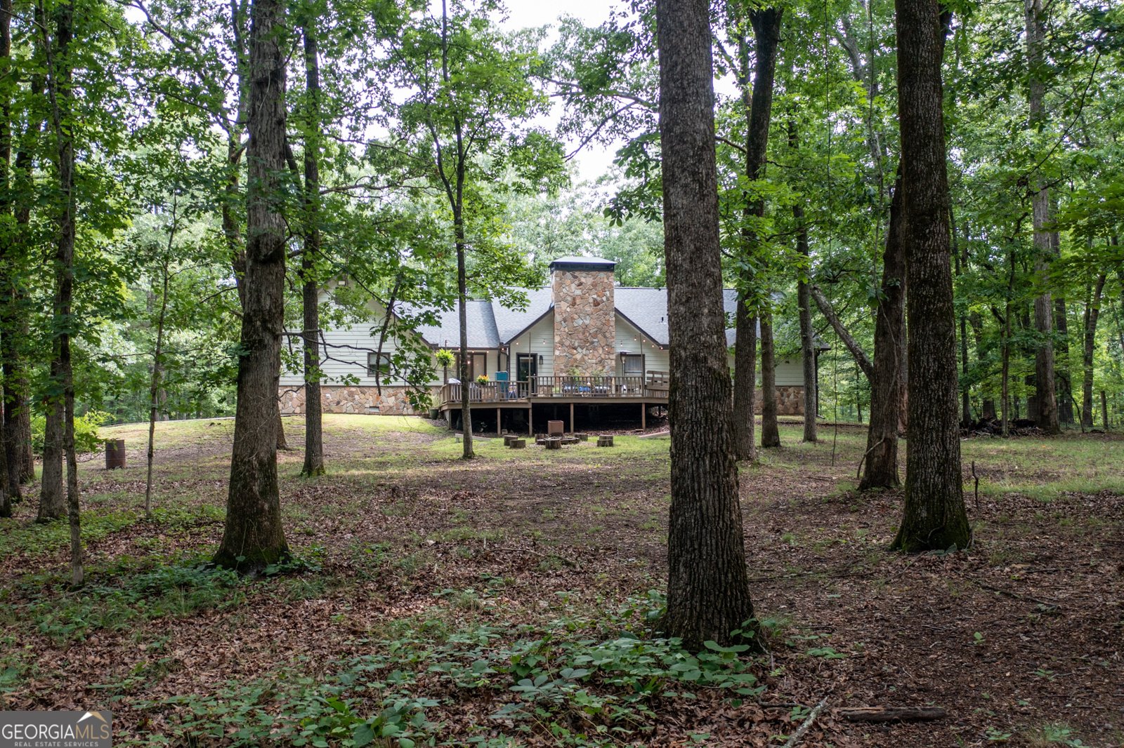 140 Scott Boulevard Tyrone - Photo 80