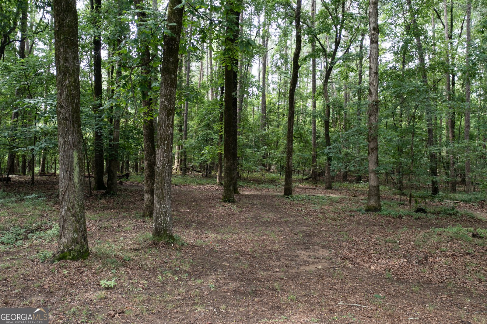 140 Scott Boulevard Tyrone - Photo 81