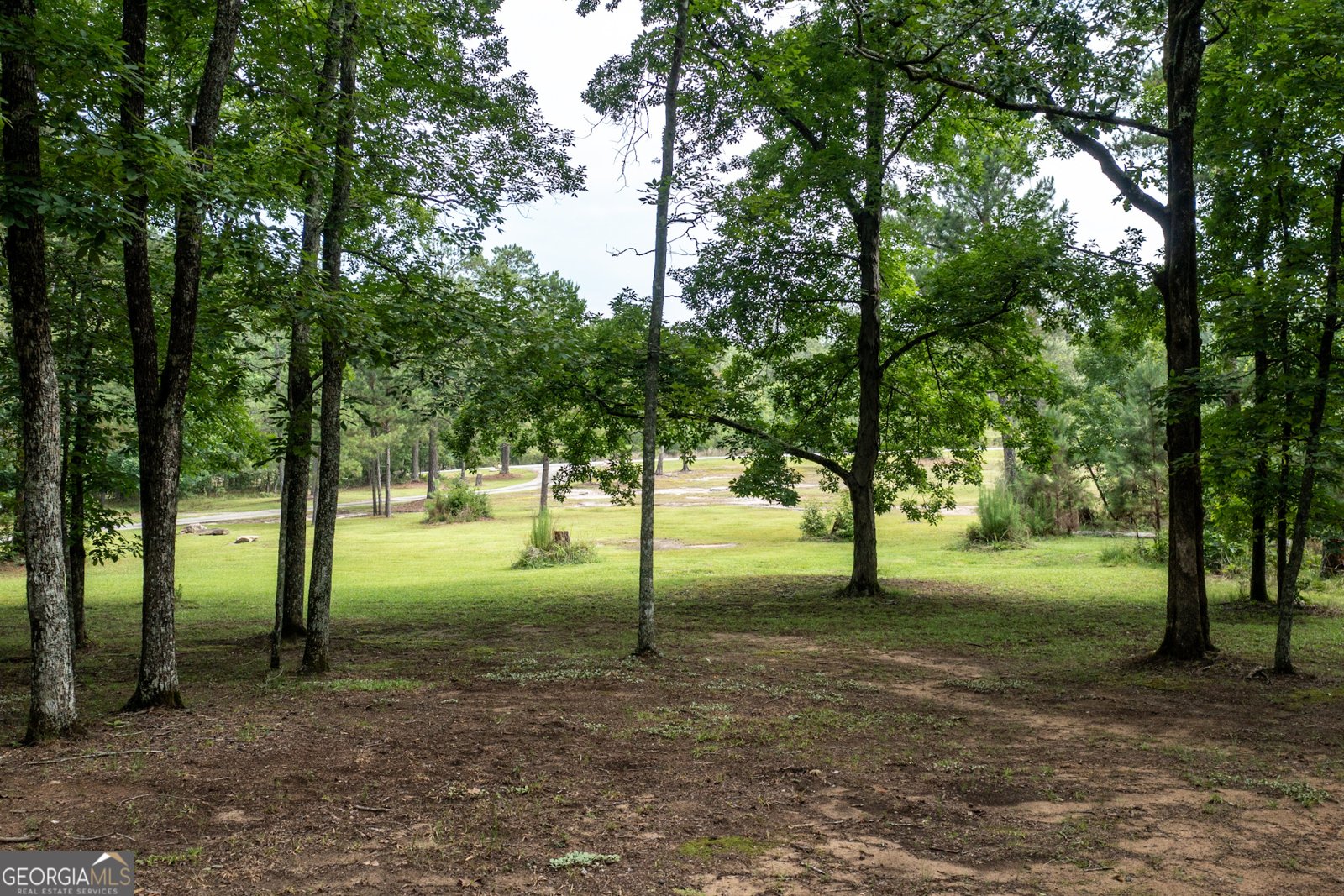 140 Scott Boulevard Tyrone - Photo 89