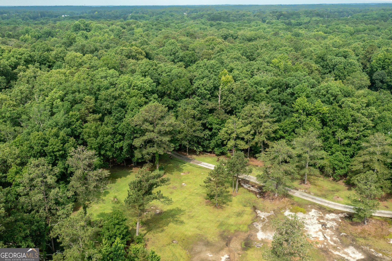 140 Scott Boulevard Tyrone - Photo 96