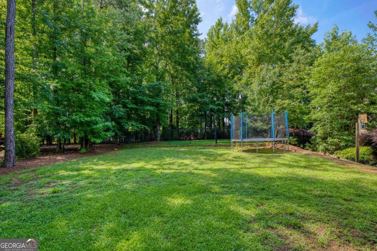 10425 Cranchester Way Alpharetta - Photo 45