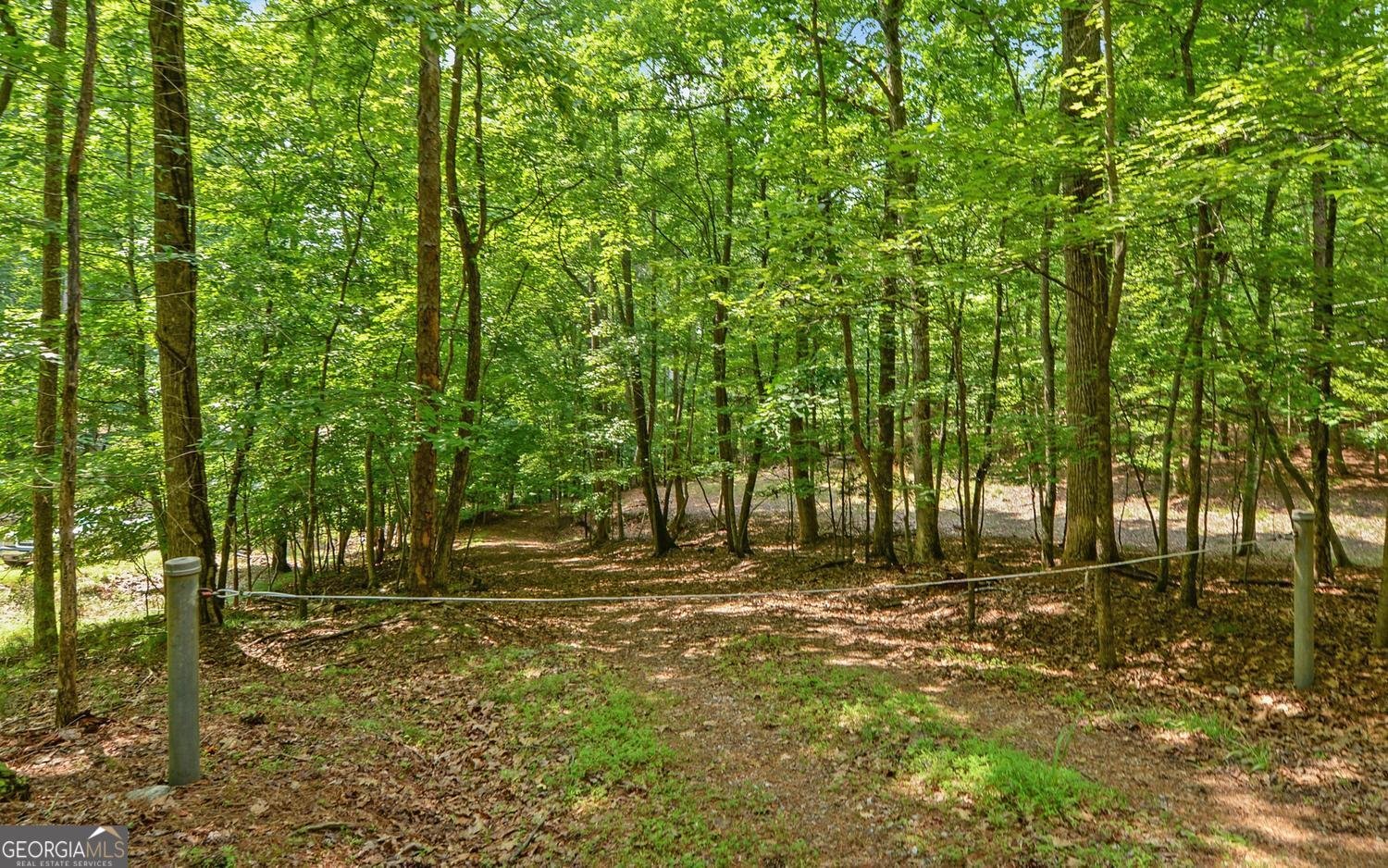 4273 Cherokee Trail Gainesville - Photo 11