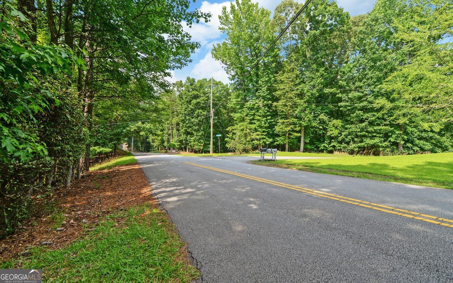 4273 Cherokee Trail Gainesville - Photo 12