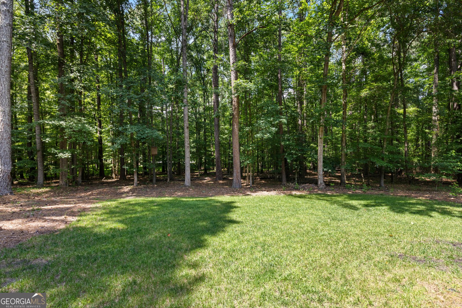 120 Creek Court Peachtree City - Photo 61