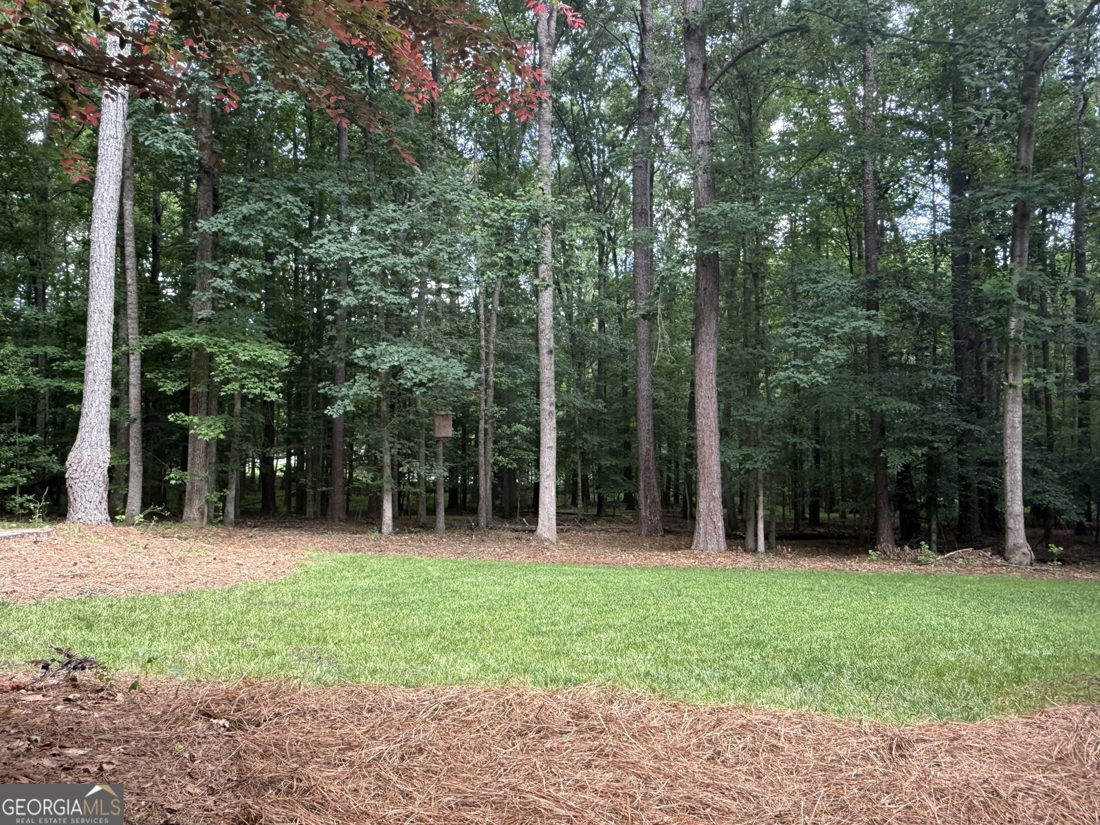 120 Creek Court Peachtree City - Photo 8