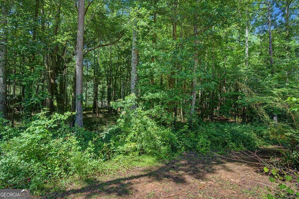 1381 Star Point Road Carrollton - Photo 45