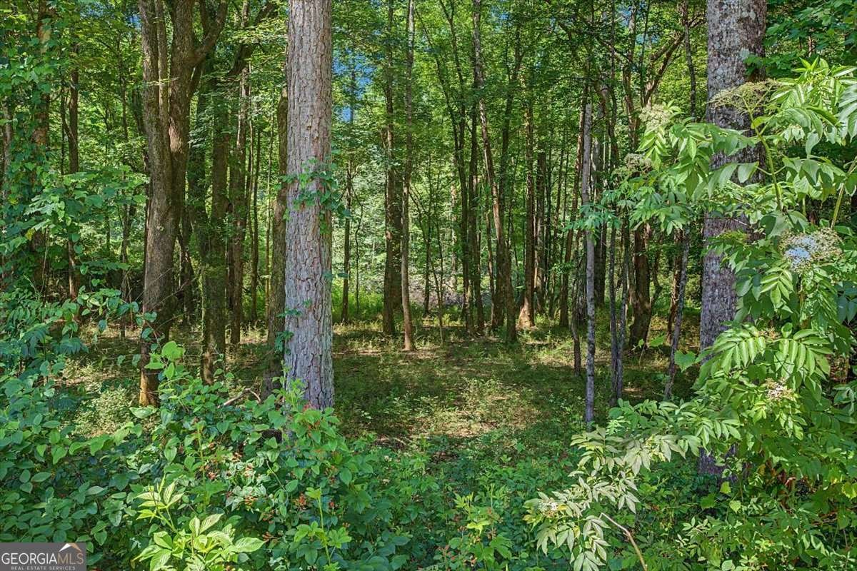 1381 Star Point Road Carrollton - Photo 46