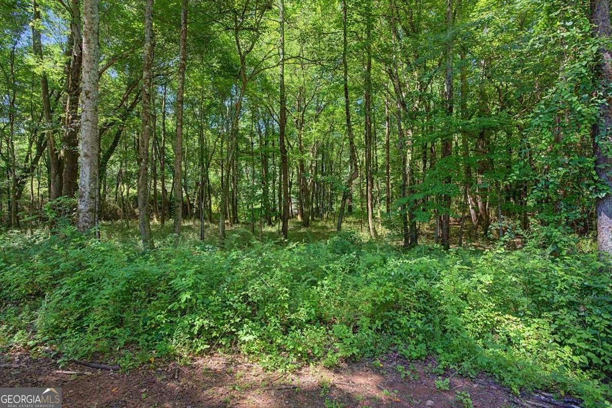 1381 Star Point Road Carrollton - Photo 47