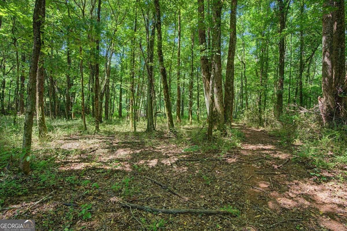 1381 Star Point Road Carrollton - Photo 48