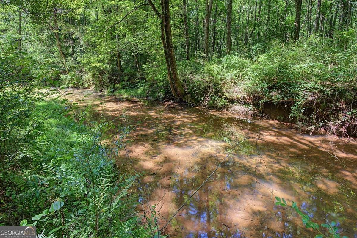 1381 Star Point Road Carrollton - Photo 49
