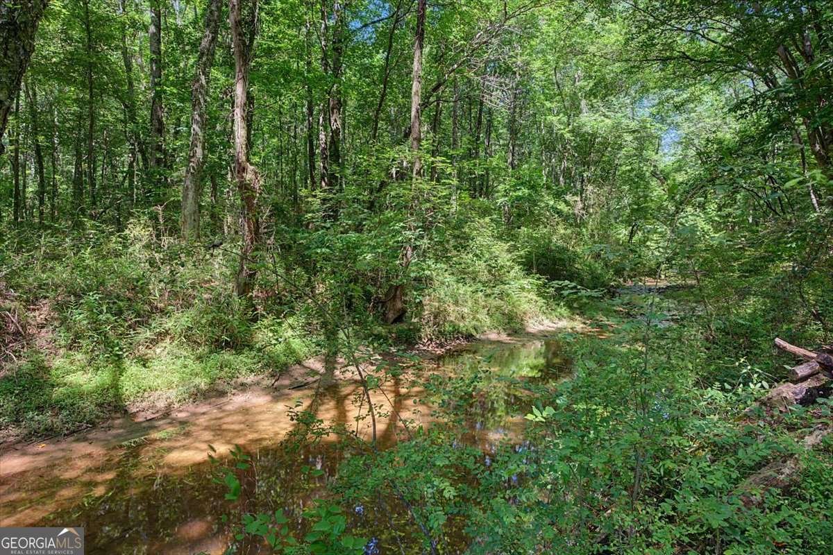 1381 Star Point Road Carrollton - Photo 50