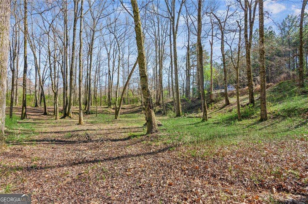 11637 Brown Bridge Road Covington - Photo 69