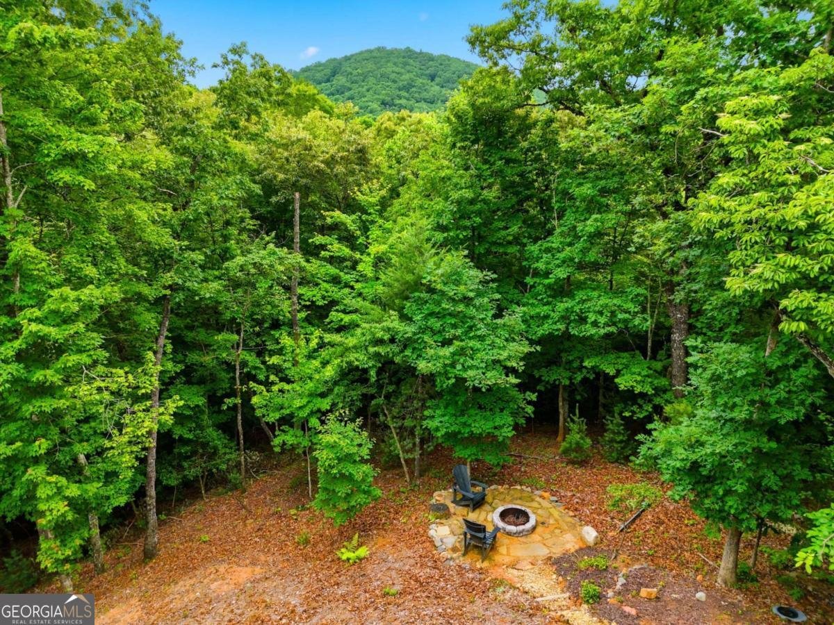 152 Oceola Drive Ellijay - Photo 50