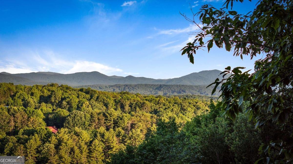 1289 My Mountain Road Morganton - Photo 6
