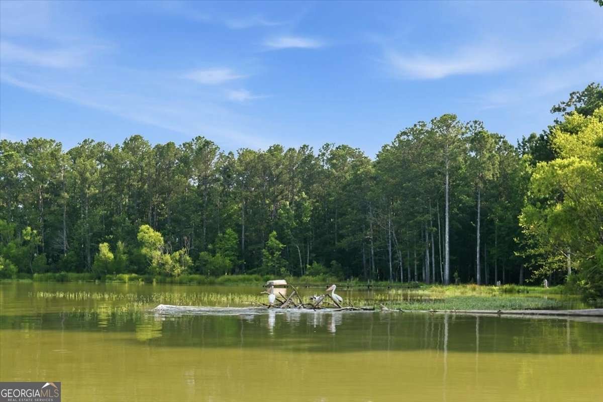 1590 County Road 136 Cedar Bluff - Photo 68
