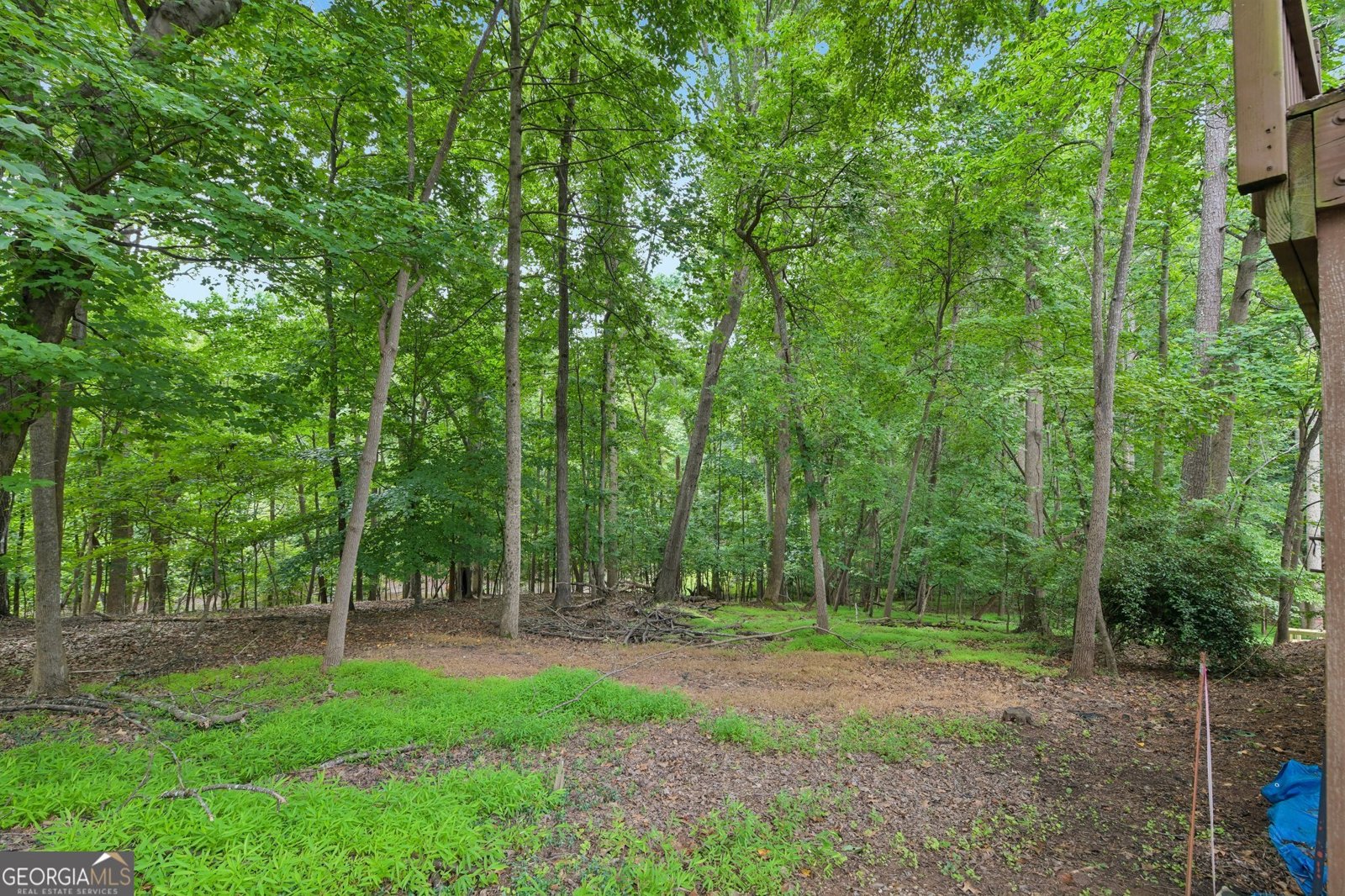 6137 White Oak Drive Flowery Branch - Photo 36