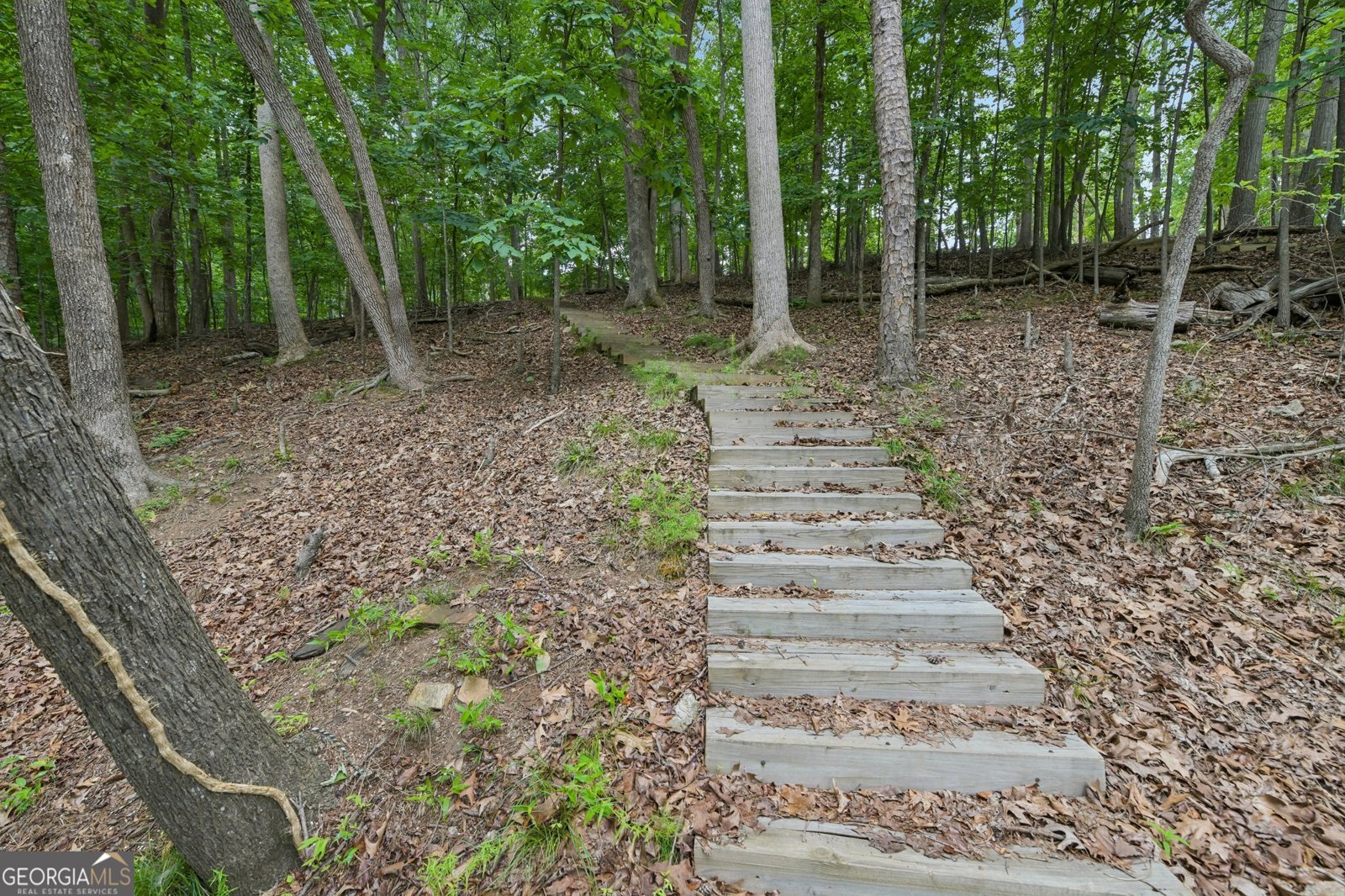 6137 White Oak Drive Flowery Branch - Photo 41