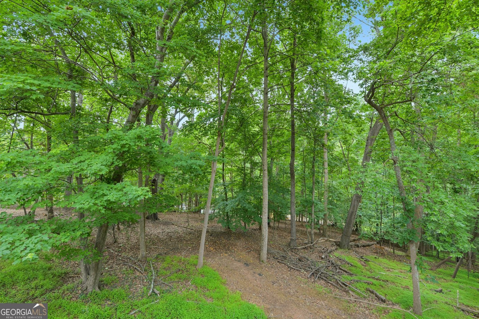 6137 White Oak Drive Flowery Branch - Photo 48