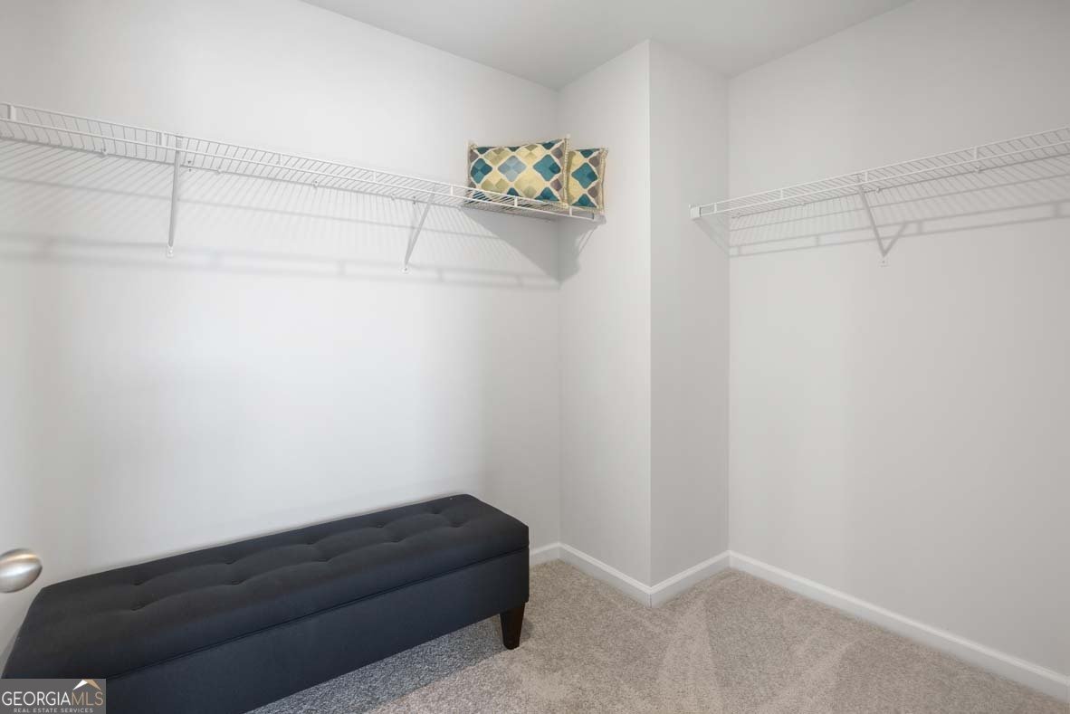 319 Royal Fern Lane Statesboro - Photo 19
