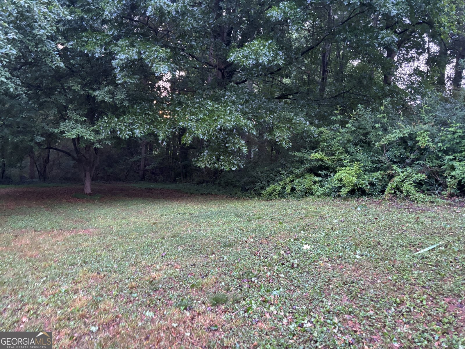 7035 Wynfield Drive Cumming - Photo 22