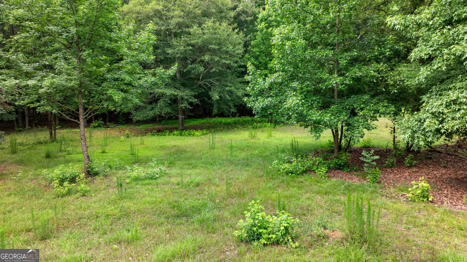 217 Lynn Drive Fayetteville - Photo 51
