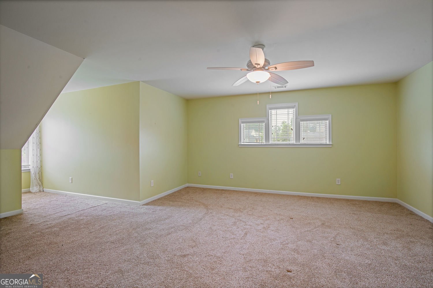 602 Sunflower Drive Canton - Photo 51