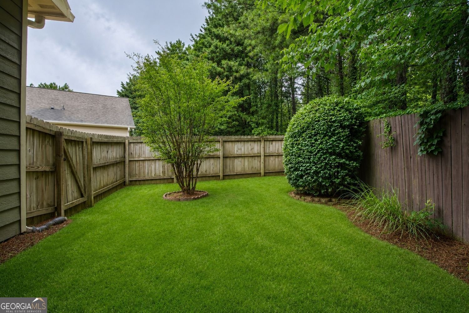 602 Sunflower Drive Canton - Photo 60
