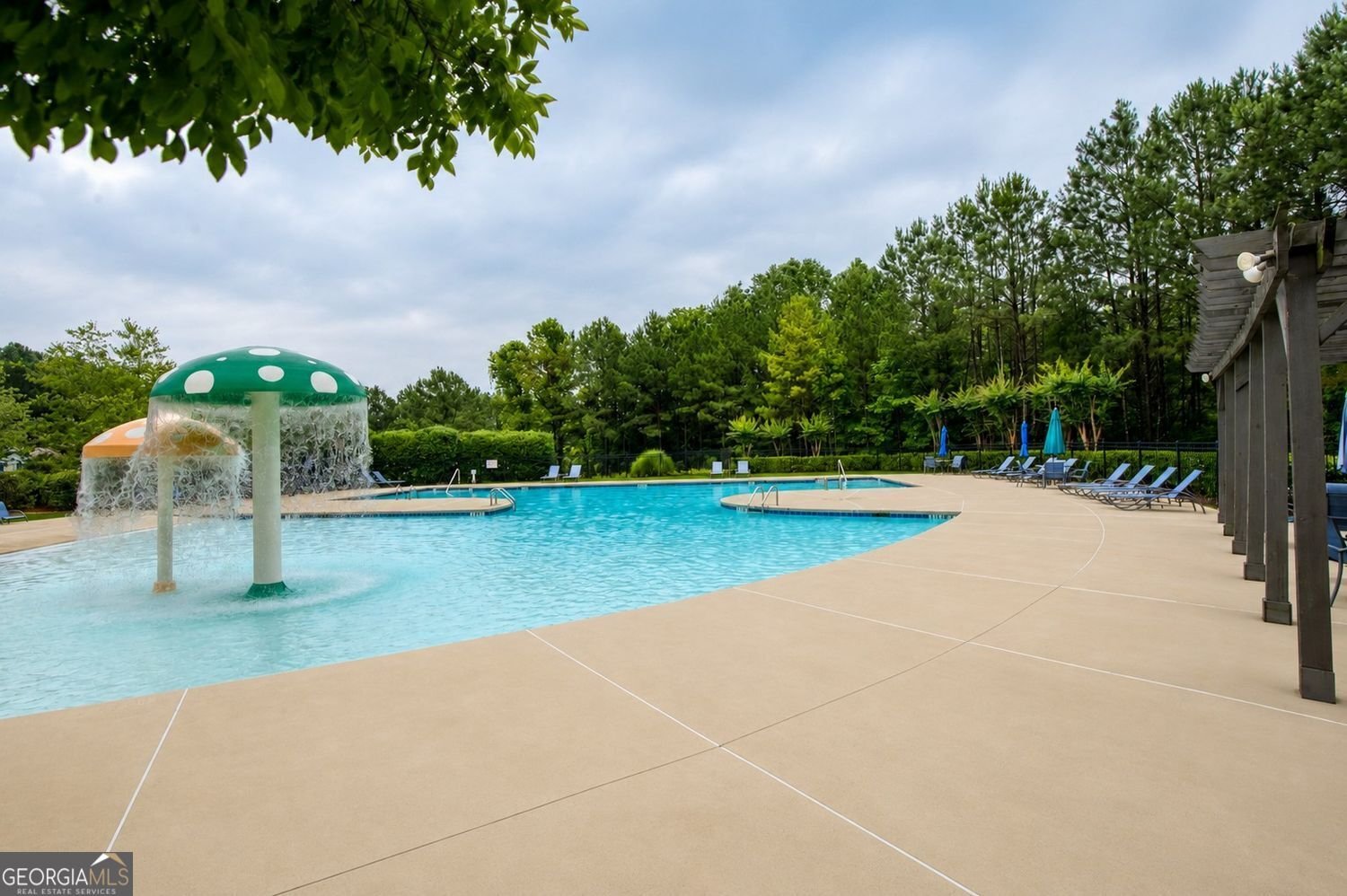 602 Sunflower Drive Canton - Photo 64