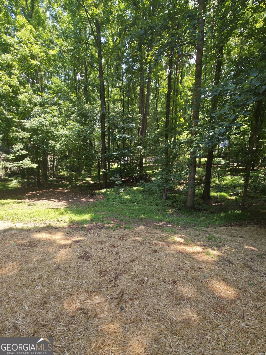 210 New Haven Drive Athens - Photo 22
