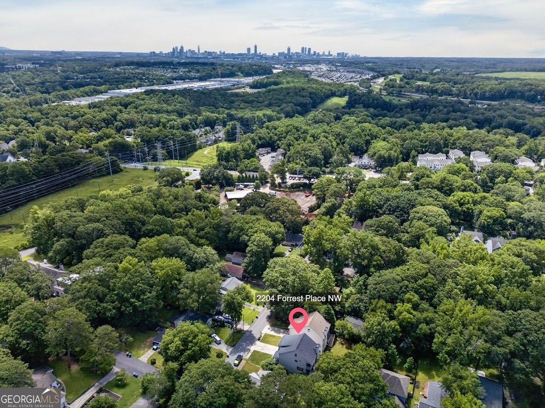 2204 Forrest Place Atlanta - Photo 51