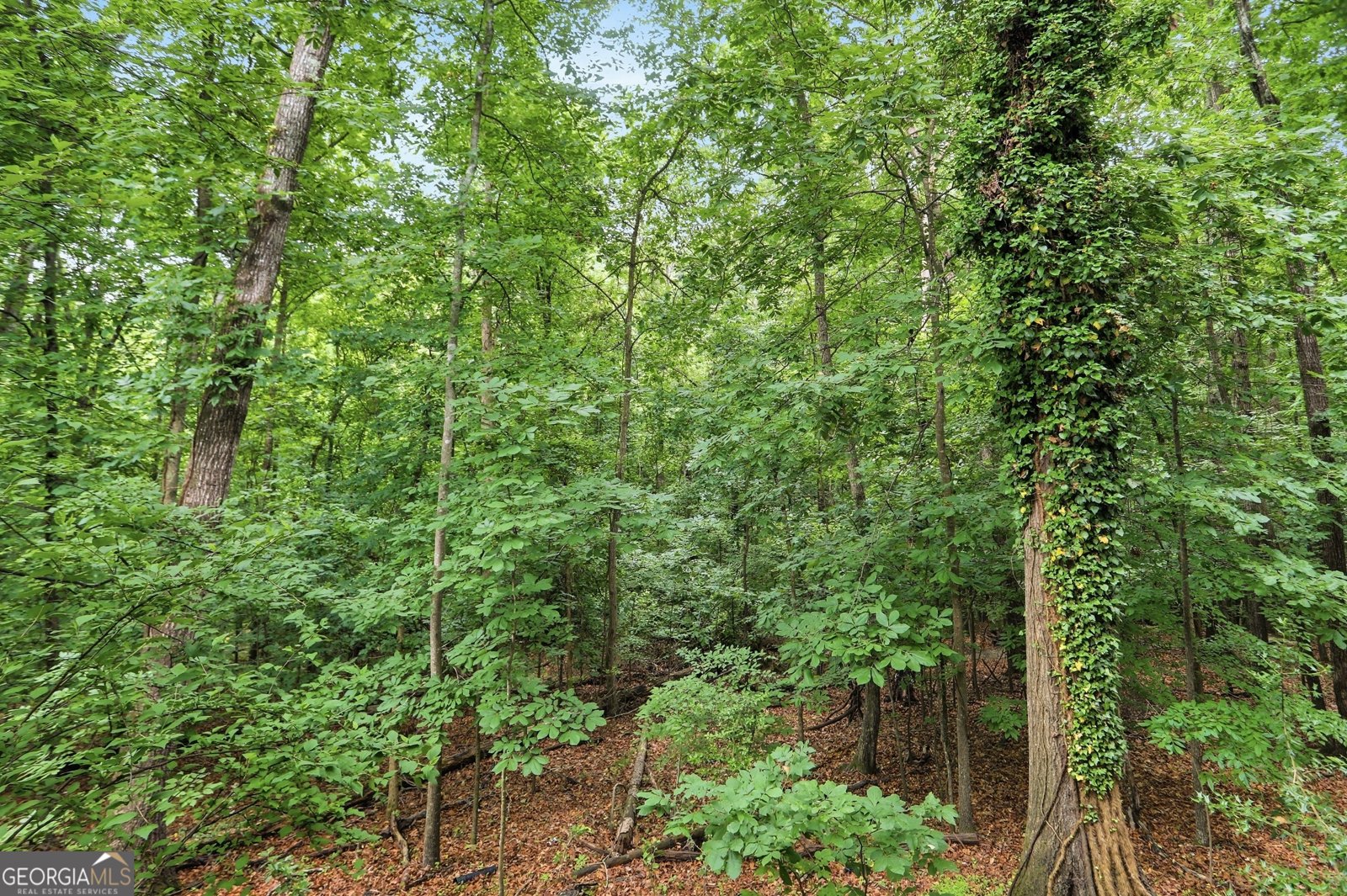 1201 Vicksburg Place Atlanta - Photo 32
