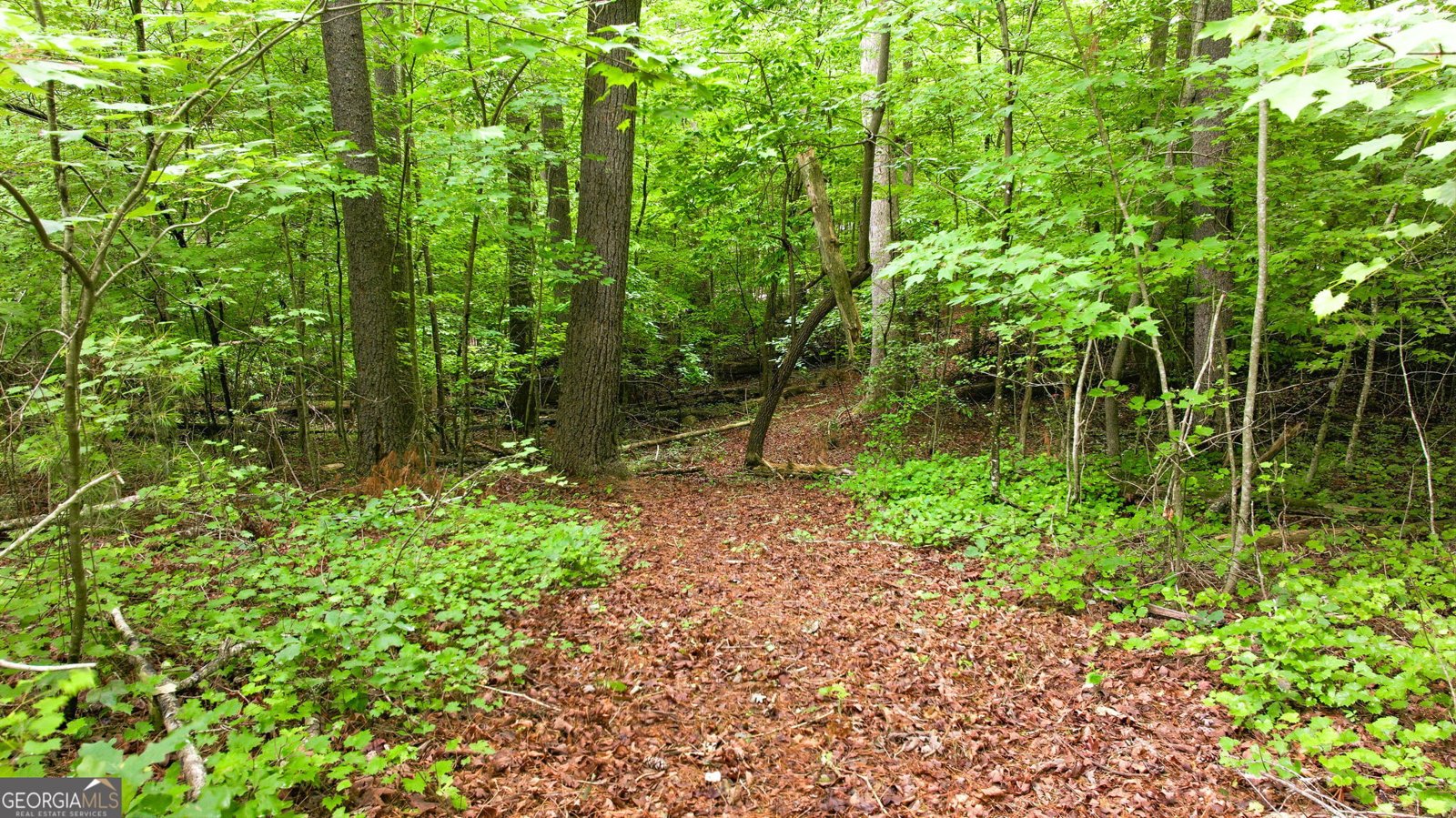 575 Hidden Valley Drive Demorest - Photo 23