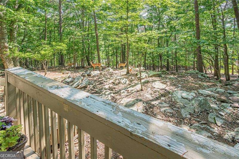 834 Lake Arrowhead Drive Waleska - Photo 37