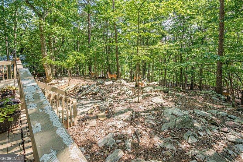 834 Lake Arrowhead Drive Waleska - Photo 38