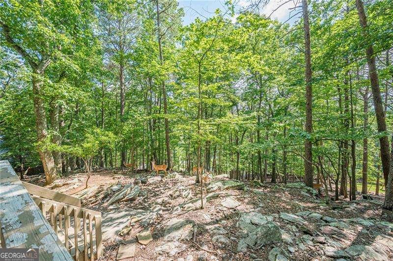 834 Lake Arrowhead Drive Waleska - Photo 39