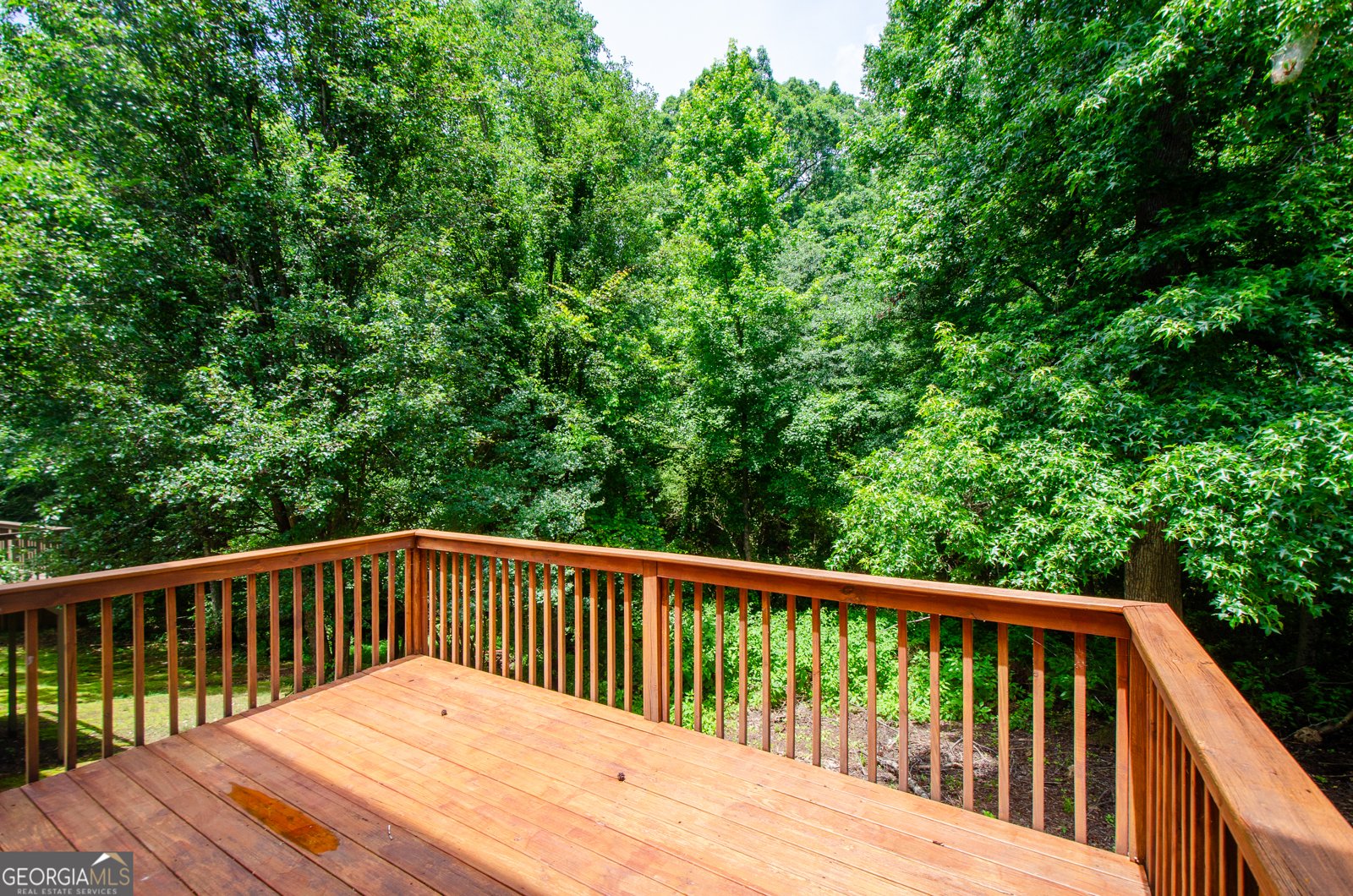 926 Mill Creek Avenue Canton - Photo 39