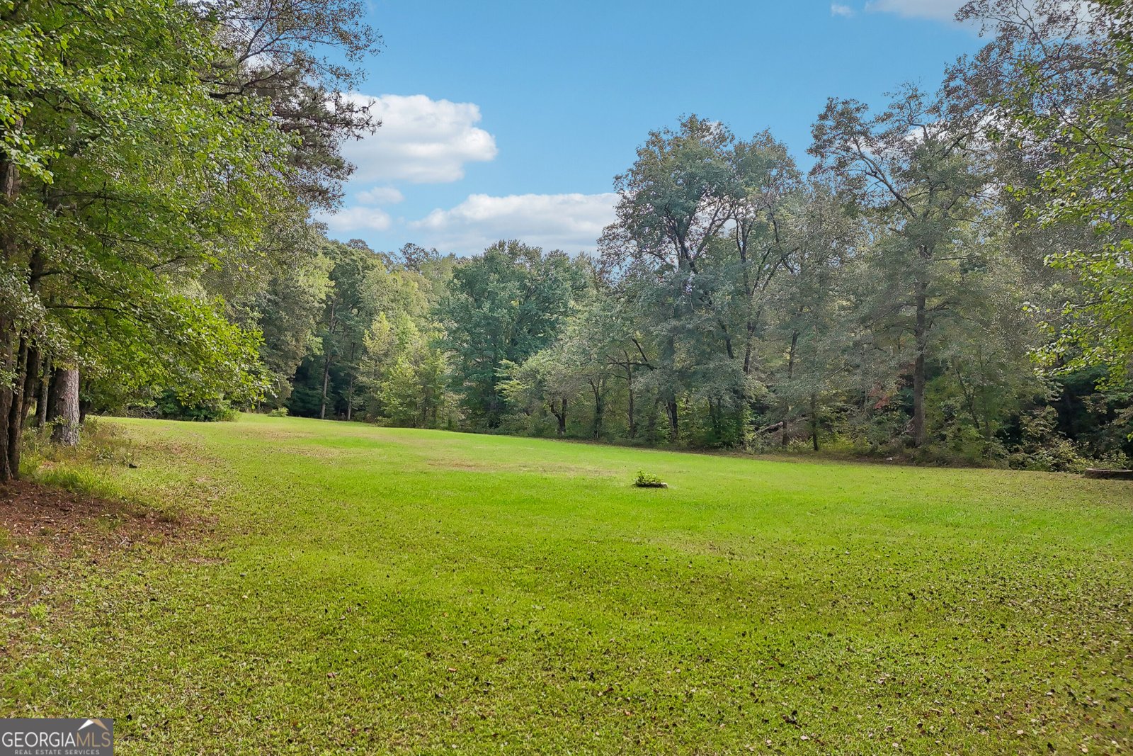 1319 Crumbley Road Mcdonough - Photo 101