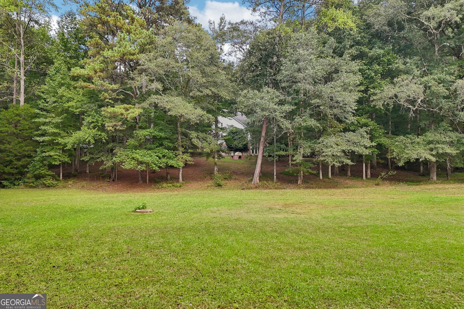 1319 Crumbley Road Mcdonough - Photo 102