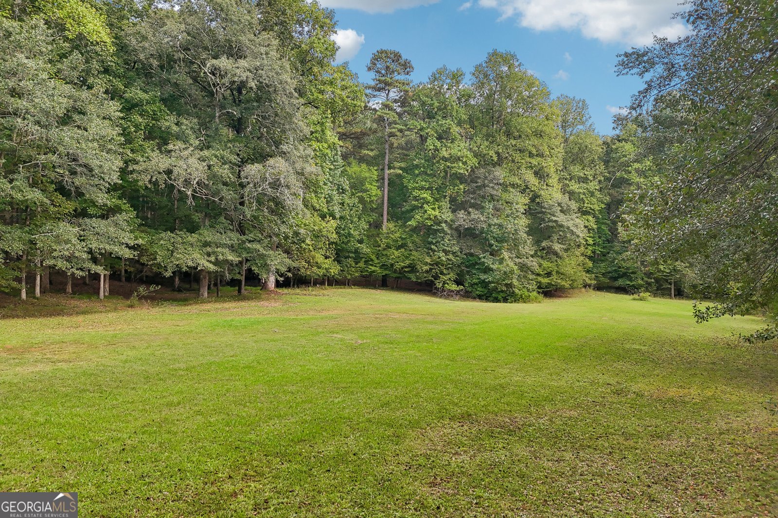 1319 Crumbley Road Mcdonough - Photo 103