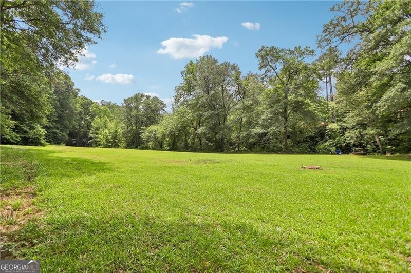 1319 Crumbley Road Mcdonough - Photo 57