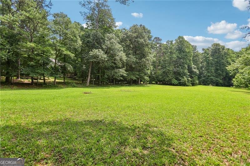 1319 Crumbley Road Mcdonough - Photo 58