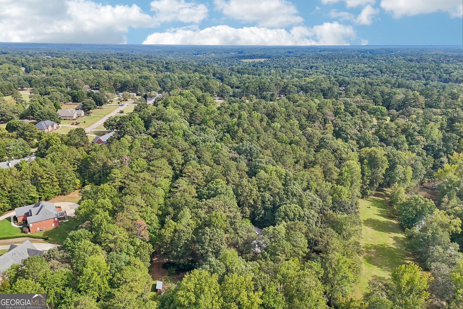 1319 Crumbley Road Mcdonough - Photo 92