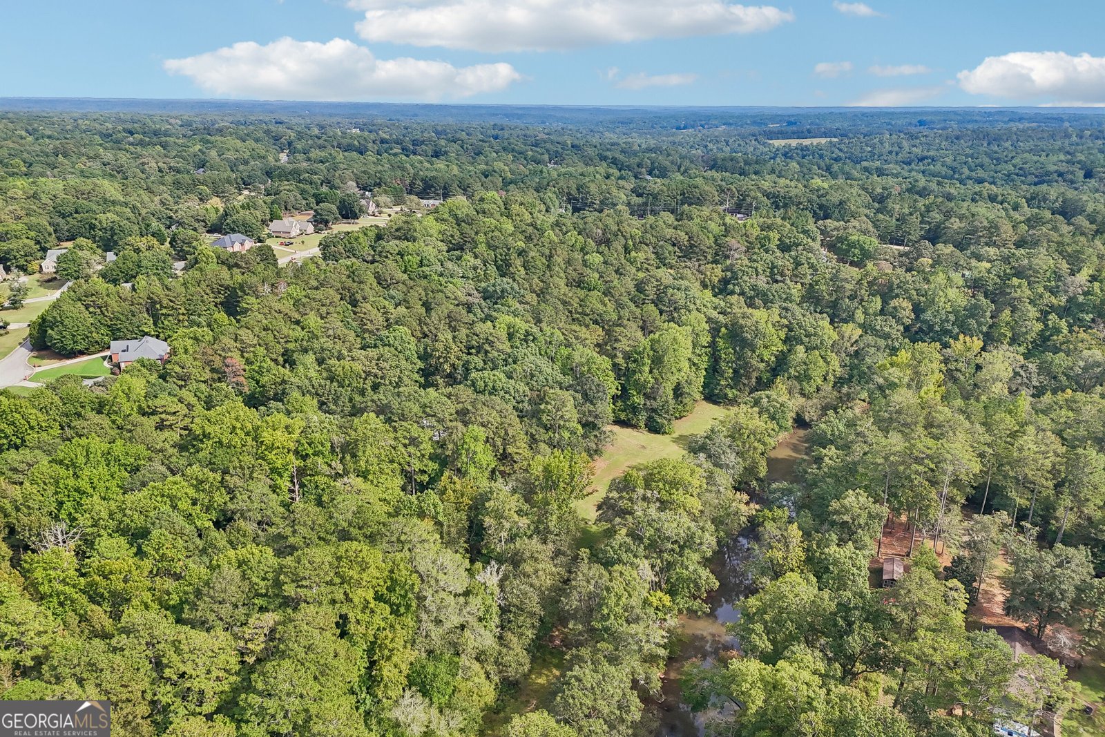 1319 Crumbley Road Mcdonough - Photo 93
