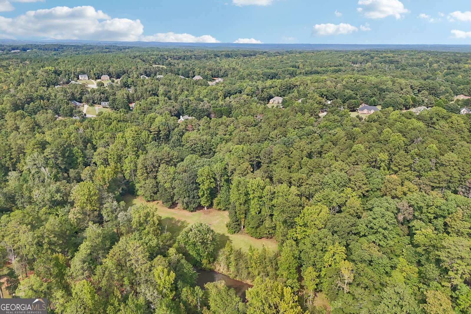 1319 Crumbley Road Mcdonough - Photo 94