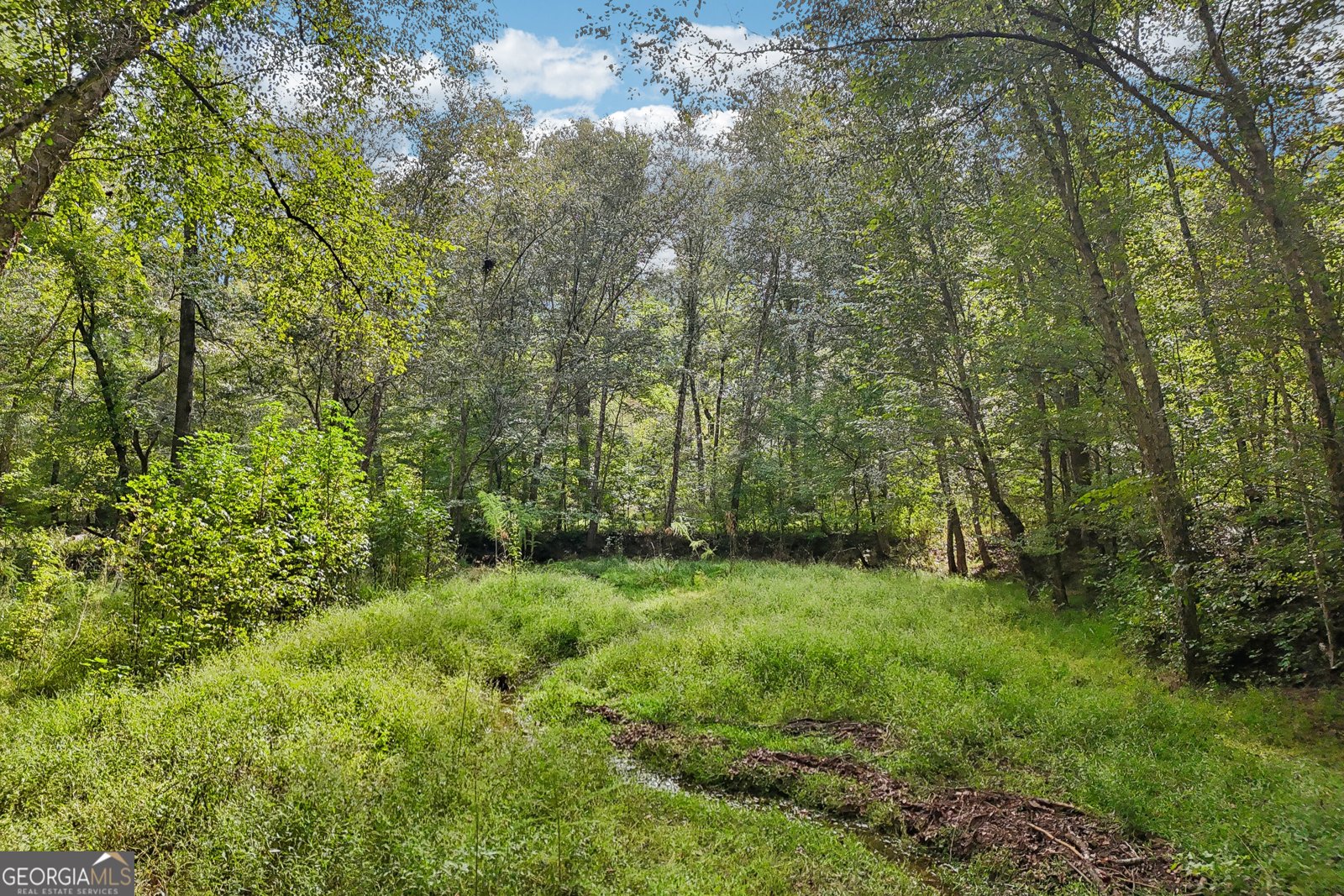 1319 Crumbley Road Mcdonough - Photo 98