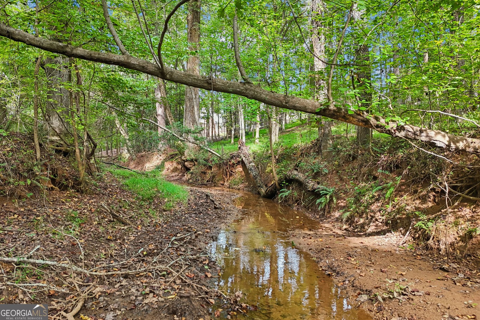 1319 Crumbley Road Mcdonough - Photo 99