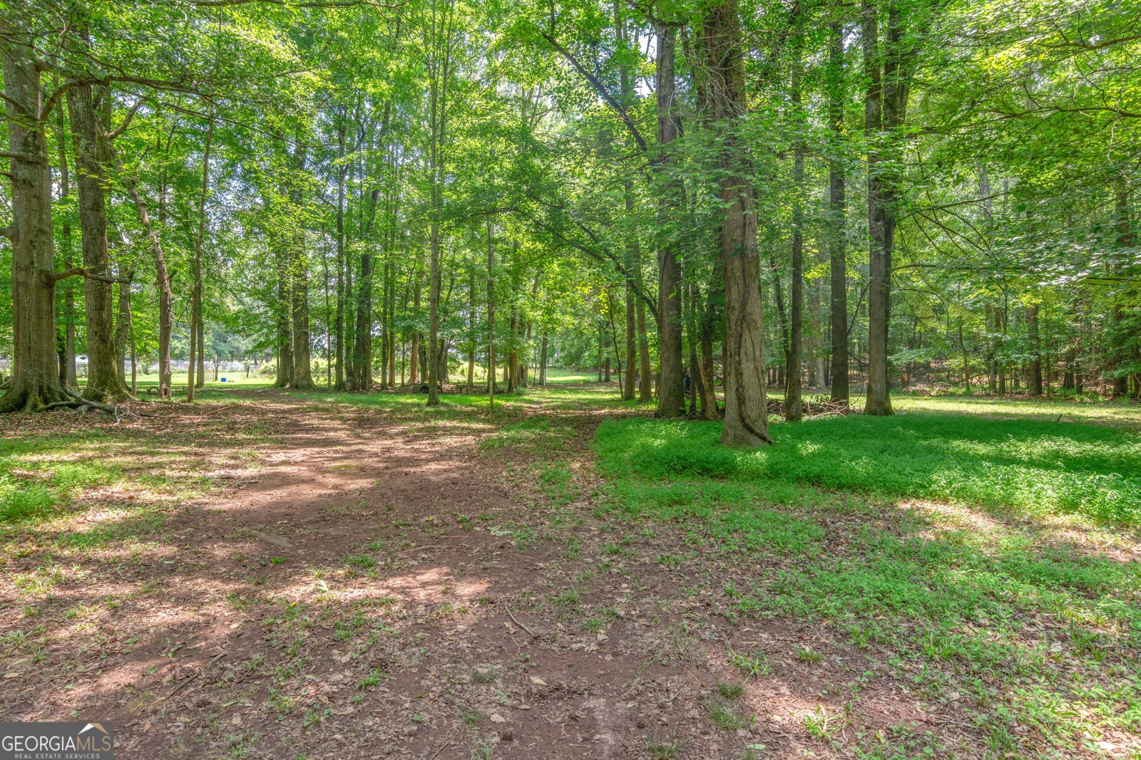 165 River Cove Ridge Social Circle - Photo 83
